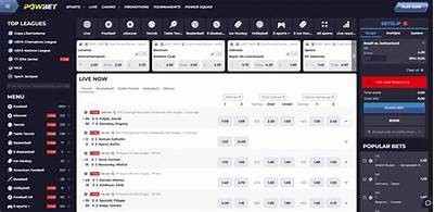 Willbet Sportsbook Review: Key Features, Bonuses, and Betting Options Explained