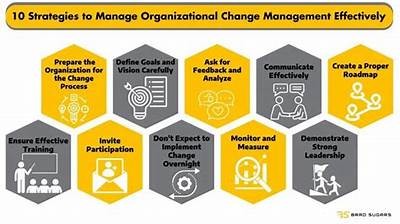 Maximizing Wins: Strategies for Success in RIP City and Beyond