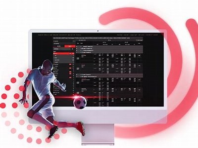 Comprehensive Review of Willbet Sportsbook Customer Service and Support Options