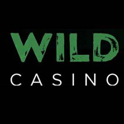 Explore the Exciting World of WillBet Online Casino in North Carolina Today
