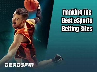 Comprehensive Review of Willbet Sportsbook for Online Betting Enthusiasts