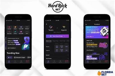 Comprehensive Review of the Hard Rock Bet App: Features, Benefits, and User Experience Guide