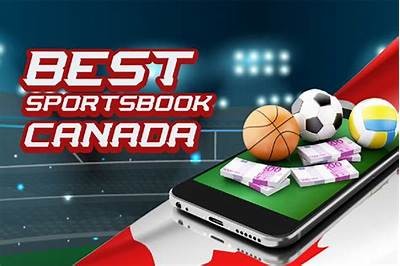 Comprehensive Review of Willbet Sportsbook Canada Features Bonuses and Betting Options