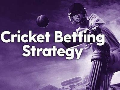 Exploring WillBet Cricket: A Comprehensive Guide to Betting on Cricket Matches