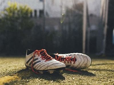 Understanding Interwetten International Limited: A Comprehensive Overview of Their Services and Offerings