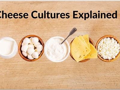 Understanding the Meaning of Get the Cheese and Its Cultural Significance
