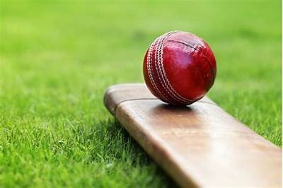 Exploring WillBet Cricket: A Comprehensive Guide to Betting on Cricket Matches