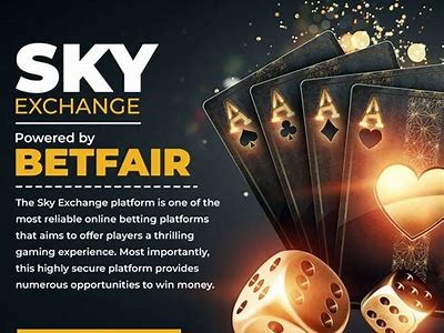 Explore the Ultimate Betting Experience with Willbet.com: Your Guide to Winning Big Online