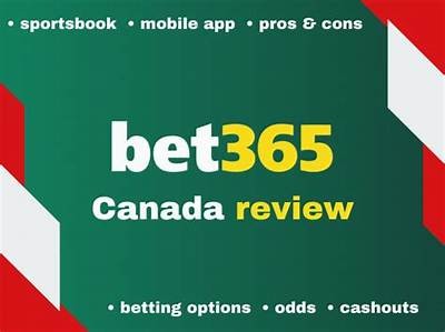Willbet Sportsbook Review: Key Features, Bonuses, and Betting Options Explained